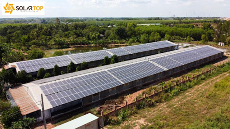 Dự án điện mặt trời áp mái tại trang trại chăn nuôi - Đồng Nai